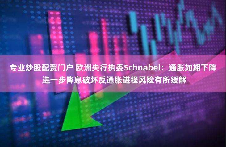 专业炒股配资门户 欧洲央行执委Schnabel：通胀如期下降 进一步降息破坏反通胀进程风险有所缓解