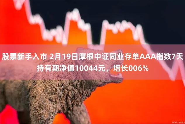 股票新手入市 2月19日摩根中证同业存单AAA指数7天持有期净值10044元，增长006%