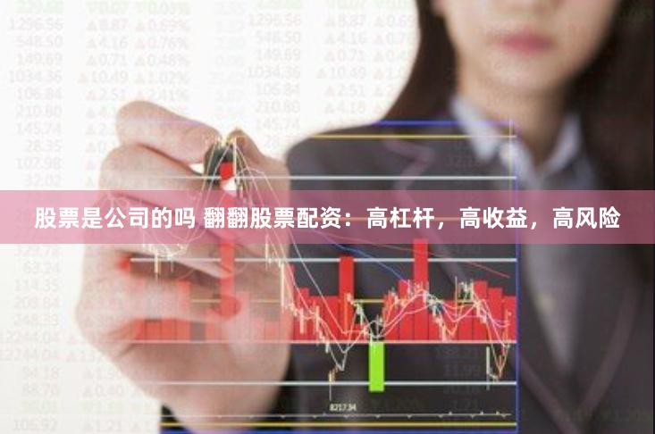 股票是公司的吗 翻翻股票配资：高杠杆，高收益，高风险