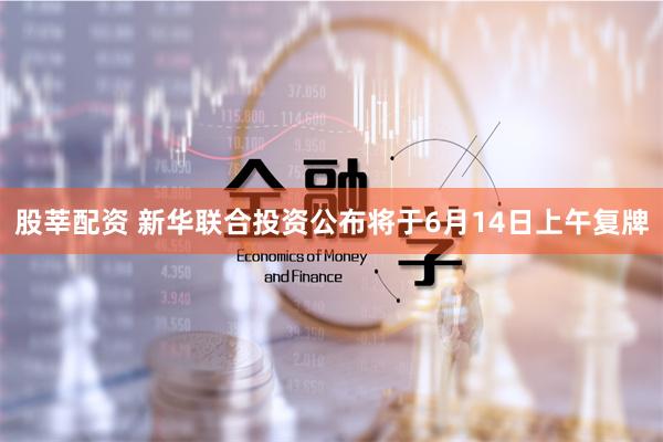 股莘配资 新华联合投资公布将于6月14日上午复牌