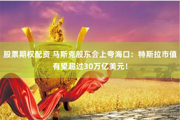 股票期权配资 马斯克股东会上夸海口：特斯拉市值有望超过30万亿美元！