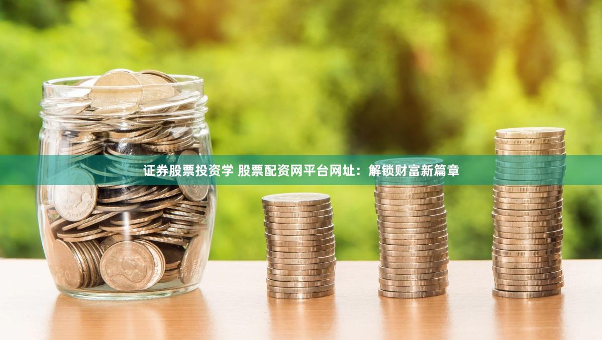 证券股票投资学 股票配资网平台网址：解锁财富新篇章