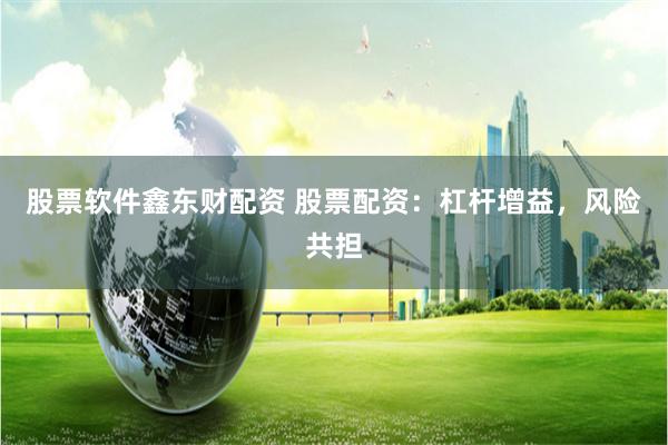 股票软件鑫东财配资 股票配资：杠杆增益，风险共担