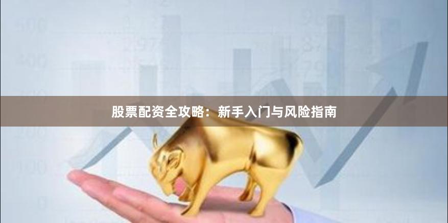 股票配资全攻略：新手入门与风险指南