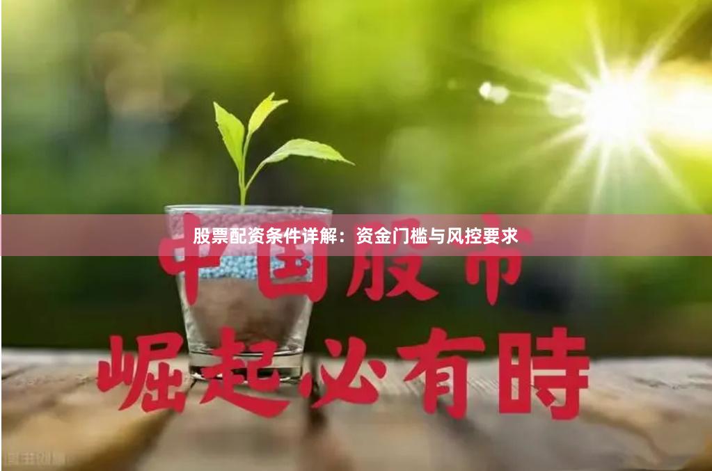 股票配资条件详解：资金门槛与风控要求
