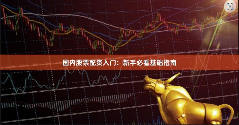 国内股票配资入门：新手必看基础指南